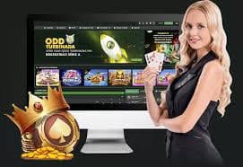 79bet com
