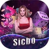 79bet com